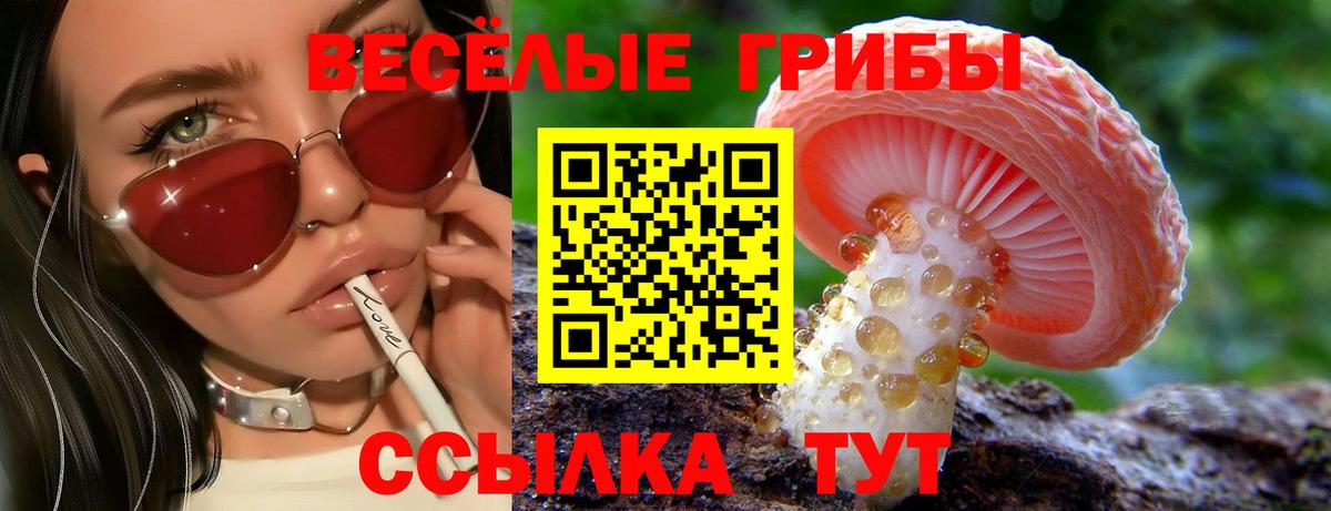 Галлюциногенные грибы Psilocybine cubensis Губкин